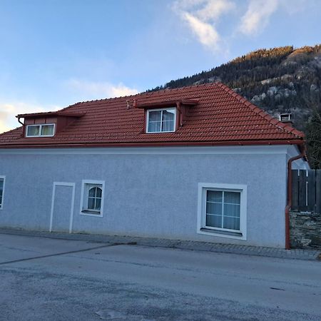 Haus Steiner Apartment Teufenbach  ภายนอก รูปภาพ